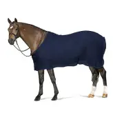 Centaur Scrim Dress Sheet