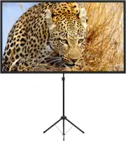 Portable Projector Screen with Stand, Outdoor Movie Screen, 80 Inch 16:9 Light-W
