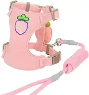 IUOUTG No Pull Dog Harness with Leash Set Soft Mesh Padded Adjustable Chest Strap with Strawberry Motif for Cats Small Dogs