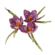 NEW SIZZIX SUSAN'S GARDEN CROCUS THINLITS DIE #659258
