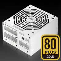 在飛比找蝦皮購物優惠-全新現貨 振華 LEADEX 850W GOLD 金牌 全模