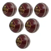 CW Garrison Cricket Coaching Hard Balls Leather Ball 4 PCE Hand Stitch 6 Balls