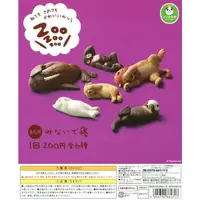 在飛比找樂天市場購物網優惠-大賀屋 轉蛋 Zoo 休眠動物園6 貓 狗 猴子 海獺 海象