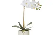 Rogue Butterfly Orchid-Smooth Pot 45 Cm Artificial Faux Plant Home Decor Indoor Planter White/Cream