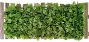 Privacy Fence with Hedge - Expandable Garden Trellis Panels | Artificial Hedge P