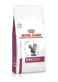 在飛比找Yahoo!奇摩拍賣優惠-【MIGO寵物柑仔店】ROYAL CANIN 法國 皇家 R