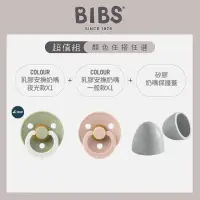 在飛比找momo購物網優惠-【BIBS】COLOUR安撫奶嘴2入(夜光/一般)+矽膠奶嘴