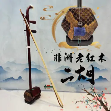 王根興老紅木二胡售價的價格推薦- 2026年07月|飛比價格