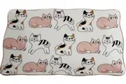 Lavida: Rectangle Plate - Sassy Cats
