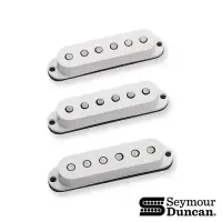 在飛比找蝦皮購物優惠-Seymour Duncan Custom Flat SSL