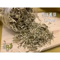 在飛比找蝦皮商城精選優惠-{薆田} 西洋蓍草 Yarrow  乾燥花草 西洋蓍草純露 