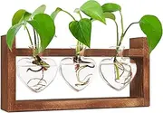Plant Propagation Stations with Wooden Stand,Air Tabletop Plant Terrarium for Propagating Hydroponic with 3 Heart Vase,Retro Glass Planter Flower Vase Home Kitchen Office Decor,Plant Lover Gifts