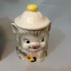 FINE CERMIC COOKIE JAR in box