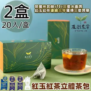 【友創】iTQi三星水晶日月潭紅玉紅茶立體茶包2盒(2.5g*20入/盒)