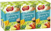 Golden Circle Sunshine Punch Juice 6 Pack 250ml x 1