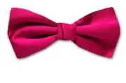 Boy's Fuschsia Pink Solid Satin Pre-Tied Bowtie for Schools - Weddings- NWT