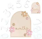 RT 1 x Baby Monthly Milestone Cards with Adhesive Dots, Milestone Cards Baby, Baby Milestones, Flower Style, Wooden Photo Props for Toddlers from 0-12 Months, Baby Growth Record