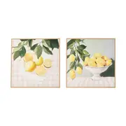 2 Pack Lemon Framed Canvas