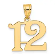 14k Yellow Gold Polished Number 12 Pendant