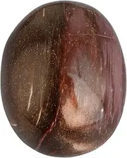 Nupuyai Natural Irregular Polished Palm Stone Reiki Healing Tumbled Worry Stones Pocket Crystal Quartz Stones, Petrified Wood