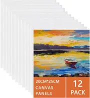12 Packs Blank Art Canvas Panels 20x25cm Pre Stretched Canvas Board Artist Paint
