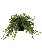 Creative Displays Ivy Arrangement in Glass Vase