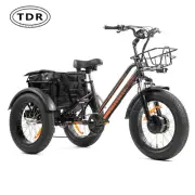 750W BAFANG FRONT HUB MOTOR ELECTRIC TRIKE TRICYCLE FAT WHEEL 7 SPEEDS 18AH 20"