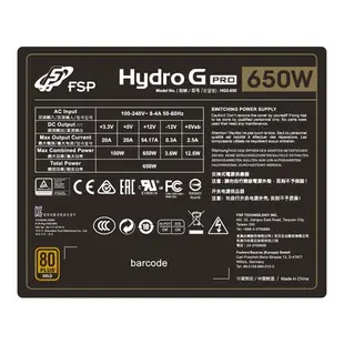 FSP 全漢 HYDRO G PRO HG2-650 650W 電源供應器 金牌 三防漆 10年保
