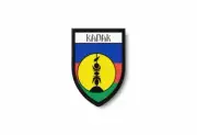 PATCH PATCHES EMBLEM IRON ON GLUE PRINT FLAG world crest new caledonia
