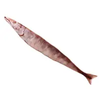 在飛比找蝦皮商城優惠-美國 SMARTYKAT 逼真 鹹秋刀魚抱枕 長約80cm 
