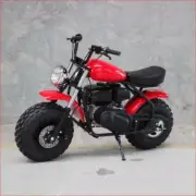 XB200R Roadster Classic 200cc 6.5HP Automatic Off road Mini Bike Kids Adults RED