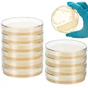 10pcs Nutrient Agar Plate Agar Plates Petri Dishes with Agar Prepoured Petri ...