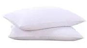 Goose Feathers and Down White Pillows with Standard (Pack of 2) Classic White