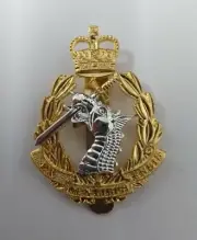 Genuine British Army RADC Dental Corps Issue Insignia Metal Dress Hat Badge