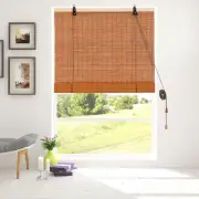 Roller Blinds Shades Roll Up Light Filtering Window Curtains for Interior Hom...