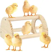 Cubolar Pine Chicken Perch with Mirror, Strong Chick Jungle Gym Roosting Bar, Chicken Toys for Coop and Brooder, Training Perch Toys for Large Bird, Parrot, Macaw, Hens (Small)
