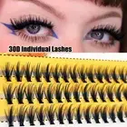 60 Bundles 30D Mink Mink Eyelashes Cluster Lashes Eyelash Extensions