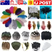 Mix Hen Pheasant Peacock Tail Eye Goose Feathers Wedding Millinery DIY Craft AU