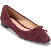 Cole Haan Chlea Pointed Toe Ballet Flat in Bloodstone at Nordstrom, Size 8.5