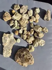 Mt Tamborine Thunderegg Rock Agate Geode Collection