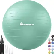 METEOR Essential Anti-Burst Swiss Ball - Premium Quality Exercise Ball for Pilat