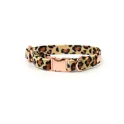 Holly & Co Basic B*tch Leopard Large Brown Premium Velvet Dog Collar