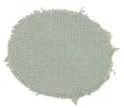 Kirby Rug Renovator/Carpet Shampooer Tank Cloth Screen, Fits Heritage I, II and