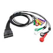 ECG Patient Holter Cable 10 Lead Snap,Compatible with Schiller MS-12 EKG Machine