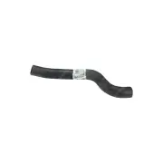 Lower Radiator Hose 30/31mm x 430mm for Mazda BT50 UP UR 2.2L 4 cyl 16V 11-14