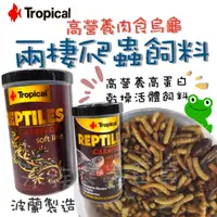 在飛比找蝦皮購物優惠-[安安水族] Tropical 德比克 高營養肉食烏龜 兩棲