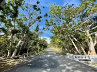 在飛比找雄獅旅遊優惠-屏東旅遊｜旅展優惠｜藍皮解憂號．墾丁鐘乳石洞奇幻森林．統一渡