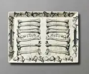 NEW Bone to Pick Bone Print Serving Tray John Derian Threshold Target