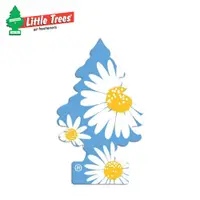 在飛比找蝦皮商城優惠-【Little Trees】美國原裝進口小樹芳香片-陽光雛菊