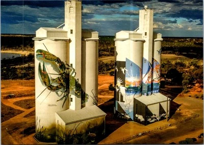 (1146 A) 28-6-2025 - Australia - Decorated Water Tower (G) Château d'Eau
